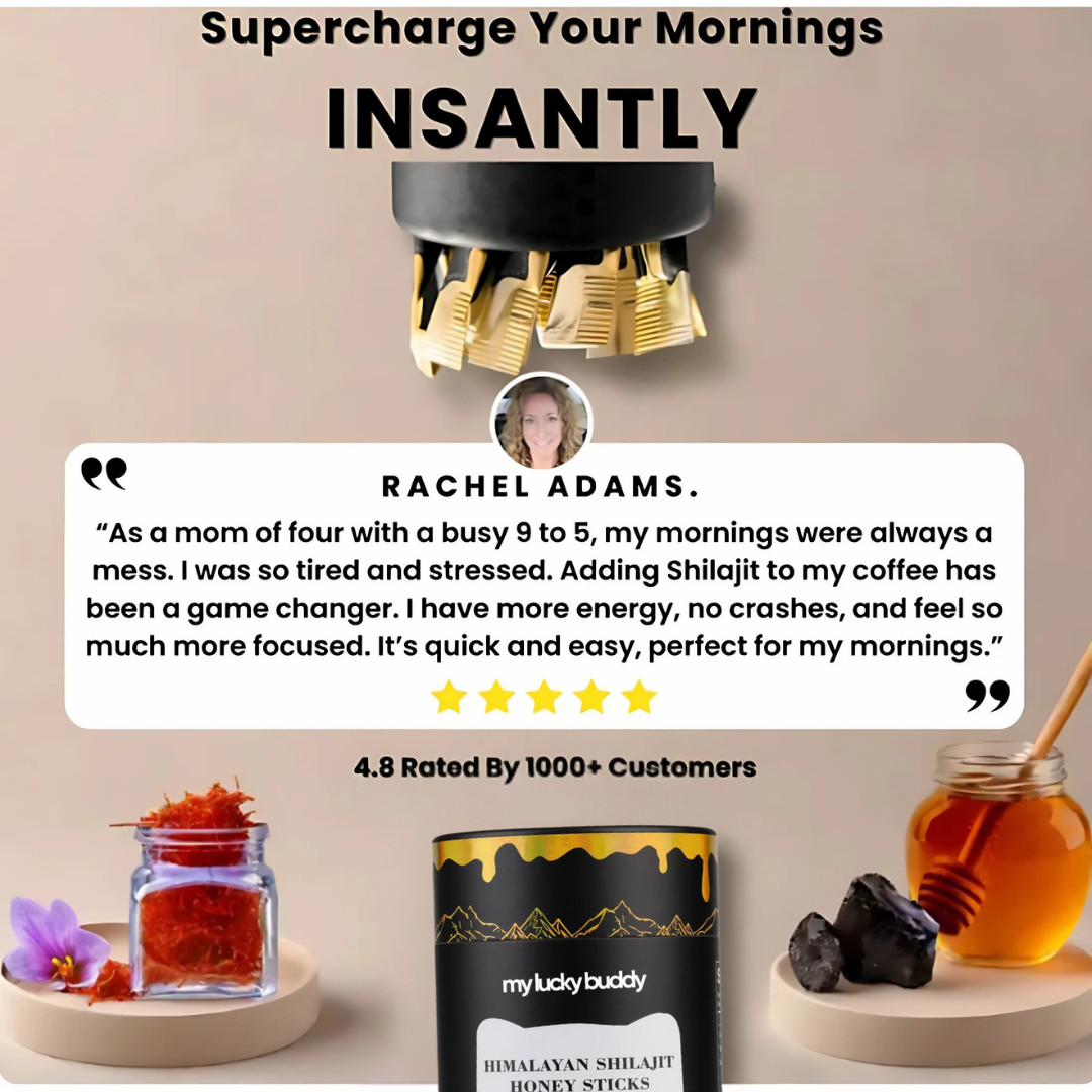 Himalayan Shilajit Honey Sticks
